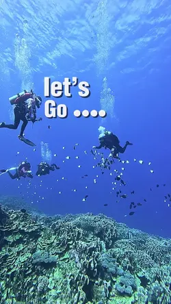 Snorkeling vlog