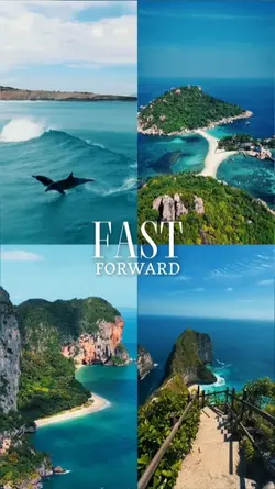 FAST FORWARD