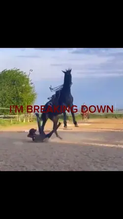 Equestrian 