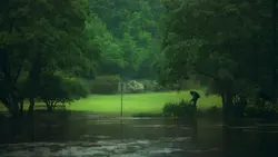 strobe effect