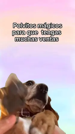 Perrito mágico