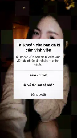 MẪU TROLL