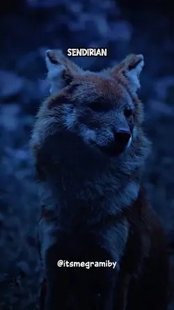 Lone Wolf Antisosial