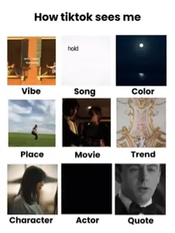 how tiktok sees me
