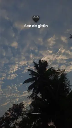 Tiktok / erhanlyrics