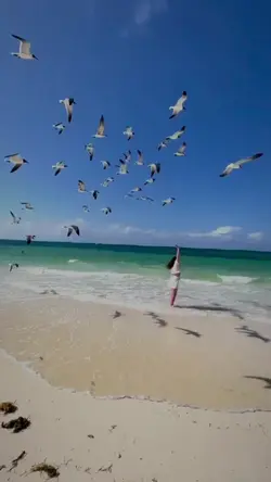 slowmo