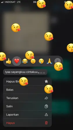 ss chat Boomerang 