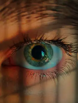 eye pic