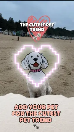 Cartoon pet trend 🐾