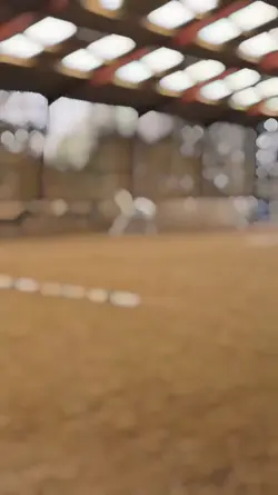 Horse edit