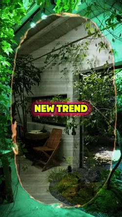 new trend 