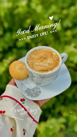 Good Morning 🤍