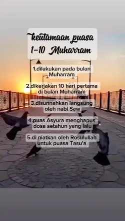 hajar konokene 