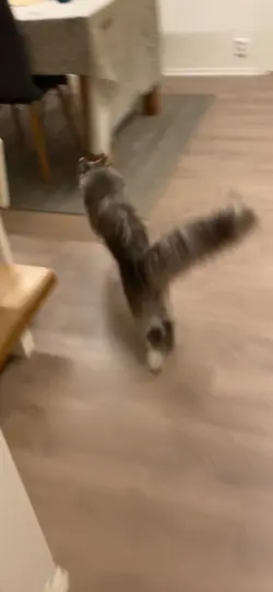 A little jump