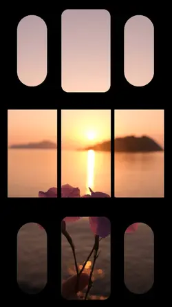 3 photos or videos 