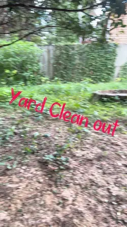 Yard clean out