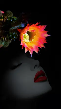 Flower bloom
