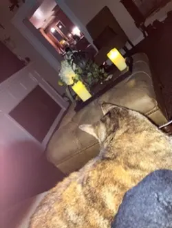 Hehe