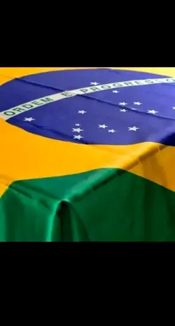 veio da bandeira 
