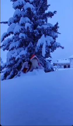 Merry chrismas