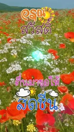 อ้อ ว.