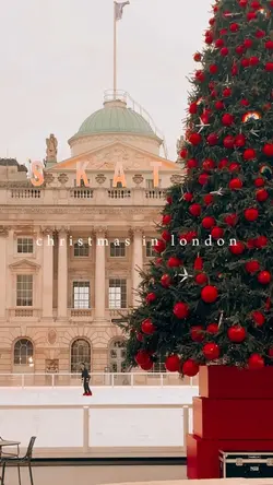 Christmas holiday ♥️✨