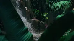 LUNA BALA CINEMATIC