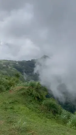 foggyhill