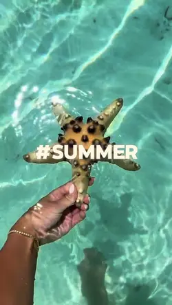 Summer x Vacatio