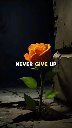 Never lose hope 