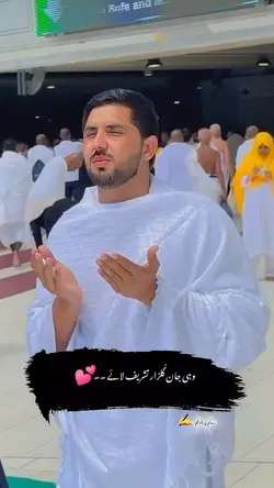 Mr.patlo template 