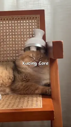 3 vidio kucinglu