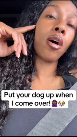 Dogs house 💯🤣