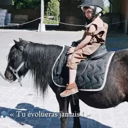 La vida es un 