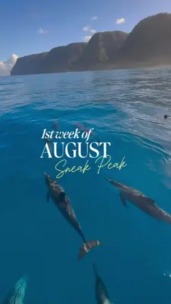 1ST WEEK OF AUGUST