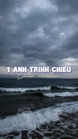 1 ảnh trình chiếu
