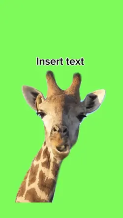 Girafe mâche 