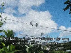 feel bad for them..