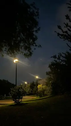 Yeni şablon 
