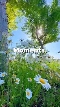 nature vibes