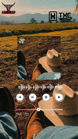 tipografia sertanejo