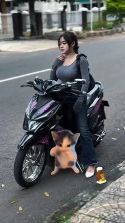SINEMATIK KUCING KIC