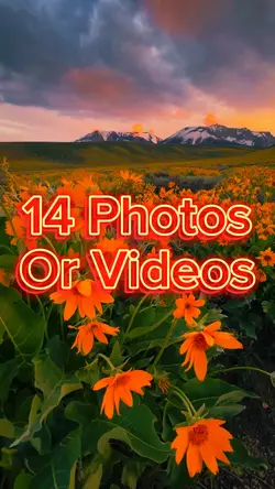 14 Photo Slides