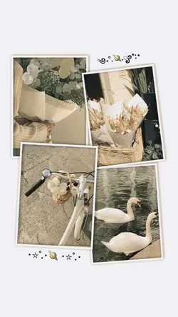 Frame 4 foto