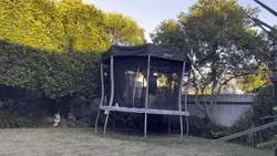 Trampoline