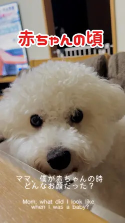 赤ちゃんの頃