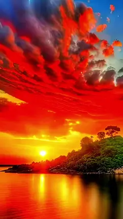 Magic View 