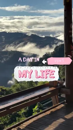 a day in my life