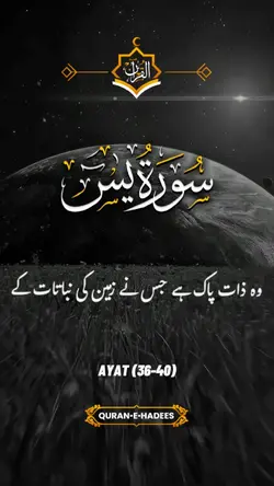 Surah Yaseen 