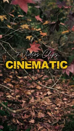Cinematic 7 Videos 